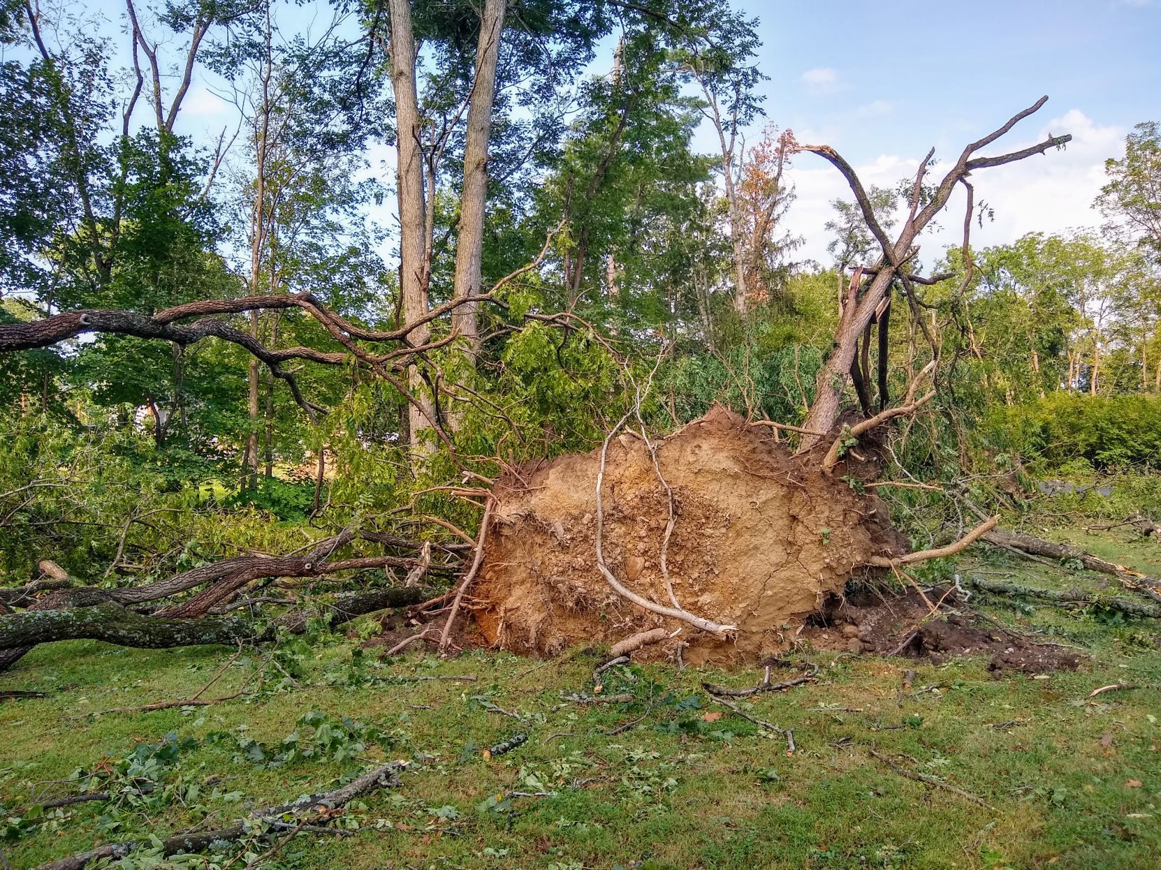 Zion Road Storm Damage